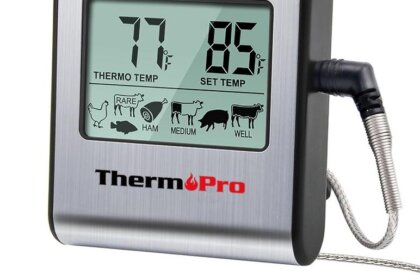 ThermoPro TP16: The Best Value Meat Thermometer for Perfect Cooking